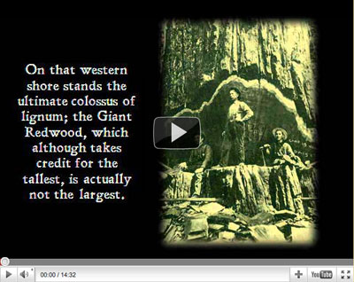 History of America's Forests Video
