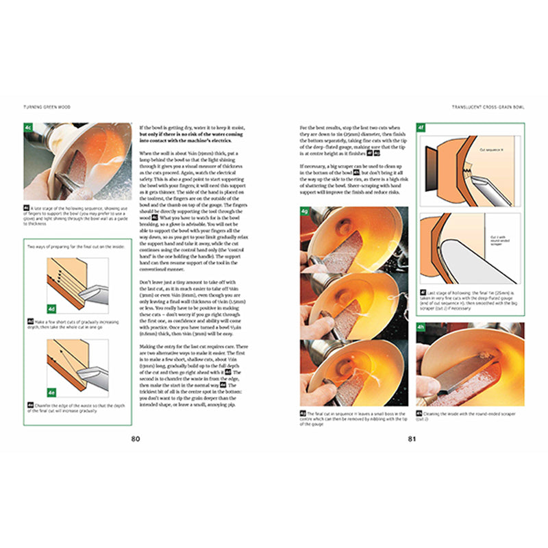 Turning Green Wood by Michael O Donnell - Revised