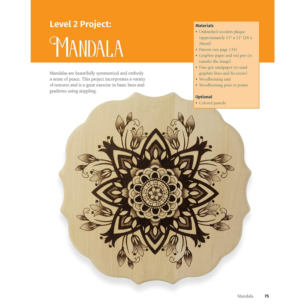 Woodburning Projects and Patterns for Beginners