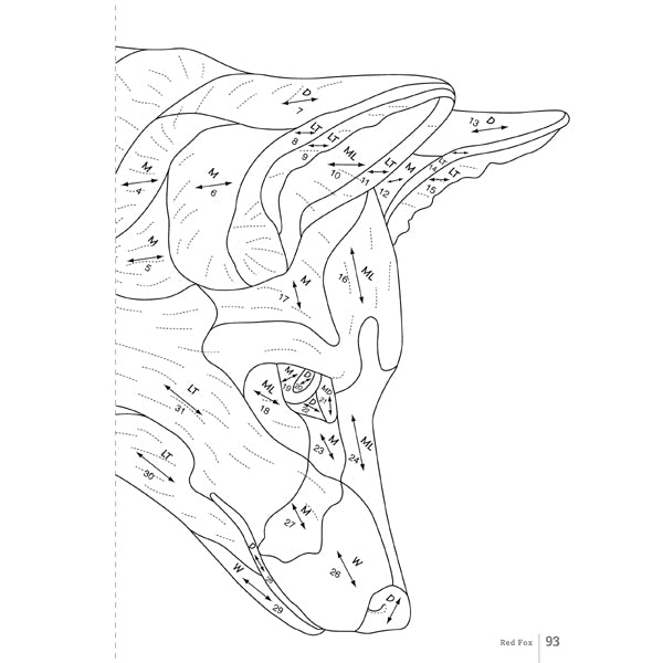 Wildlife Intarsia Woodworking