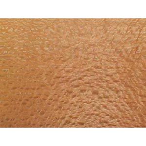 321047: Lacewood Veneer - 3 sq. ft.