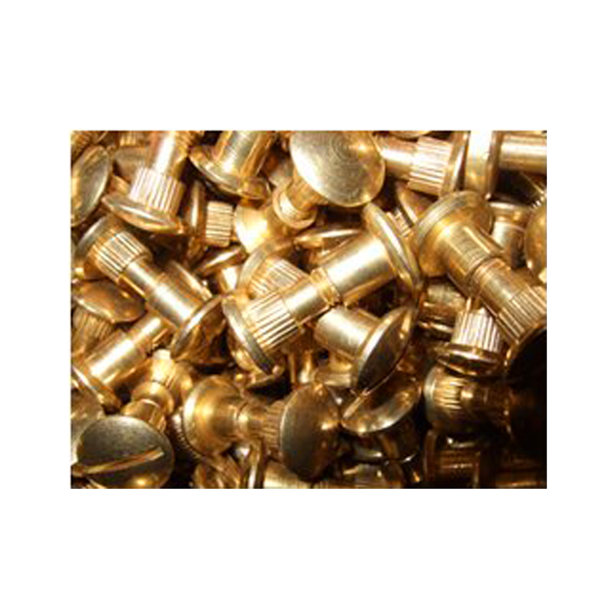 Flinn Saw Screws and Caps