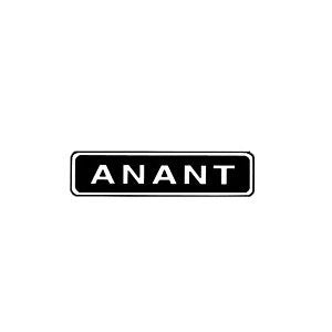 Replacement Iron for Anant #10 Bench Rabbet Plane