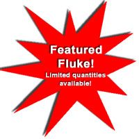 Highland Woodworking's Featured Fluke Coming Soon!
