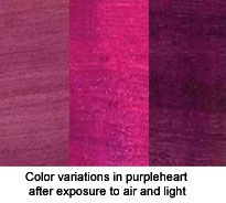 Variations in purpleheart