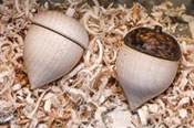 Acorn Turning and Burning