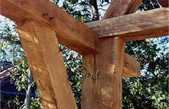 Timber Framing with Mike Goldberg 