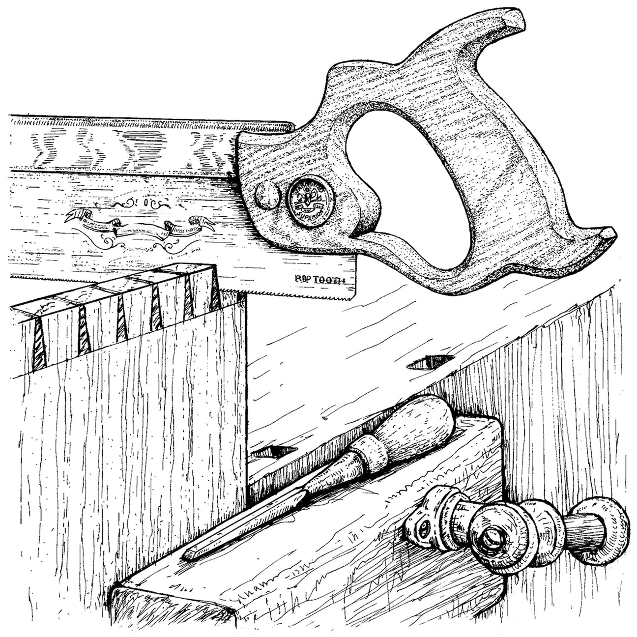 Dovetail saw cutting dovetails in wood held in workbench vise