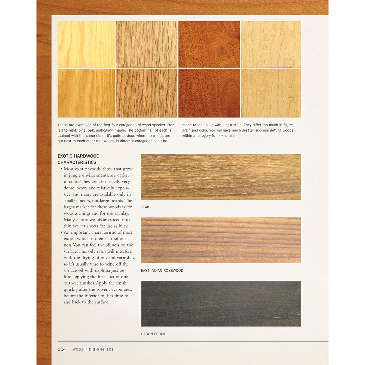 Wood Finishing 101 - Bob Flexner