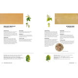Wood Identification and Use - Terry Porter