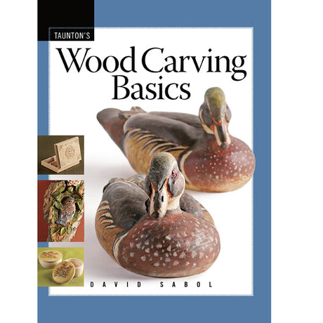 Wood Carving Basics - David Sabol