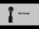 Arbortech Ball Gouge