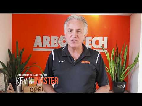 Arbortech Ball Gouge